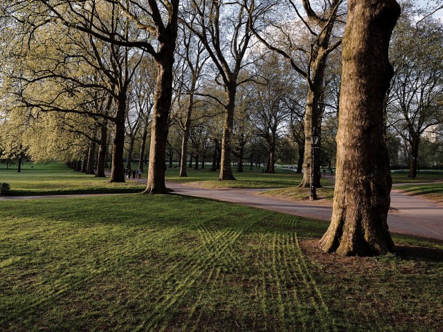 Και που γύρισα στην Ελλάδα, τι κατάλαβα;