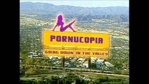 20.000 ευρώ πρόστιμο στο ΣΚΑΙ για εκπομπές με θέμα το ομοφυλοφιλικό σεξ σε ταινίες πορνό