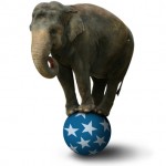 Ολλανδία: Απαγόρευση χρήσης άγριων ζώων στο τσίρκο