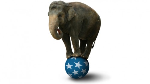 Ολλανδία: Απαγόρευση χρήσης άγριων ζώων στο τσίρκο