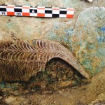 Σημαντικά αρχαιολογικά ευρήματα στην Πύλο