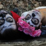 Οι προτάσεις της Popaganda για την Πέμπτη 8 Οκτωβρίου