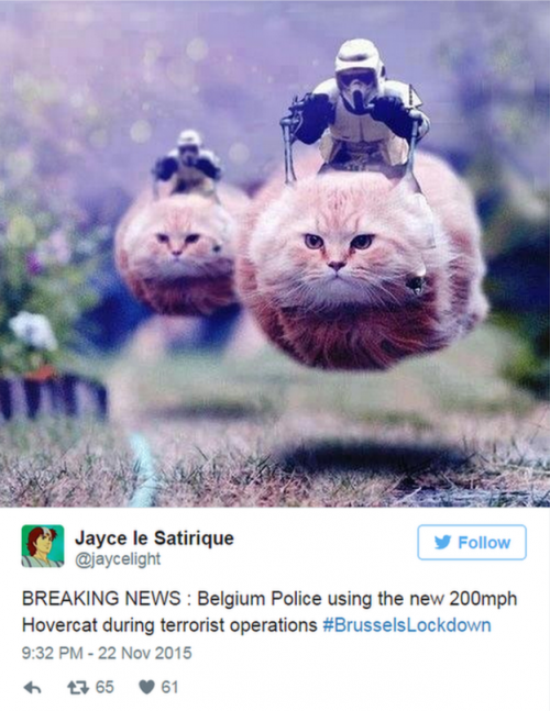 #BrusselsLockdown: Οι Βέλγοι τρολάρουν τον αποκλεισμό στο twitter με γατάκια