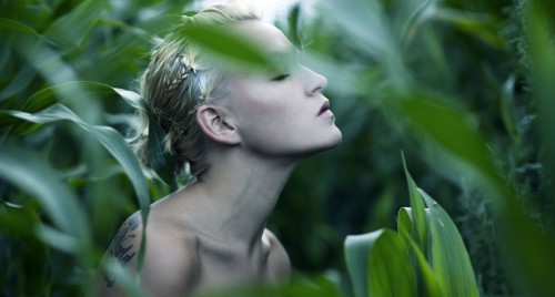 Η L’Oréal αναγνωρίστηκε από το CDP ως κορυφαία εταιρεία στην καταπολέμηση της κλιματικής αλλαγής