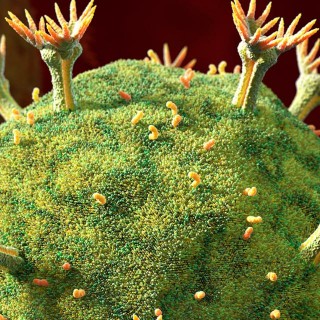 Τώρα πια Ξέρουμε σε ποια Πόλη (και Πότε) Πρωτοεμφανίστηκε ο ιός HIV