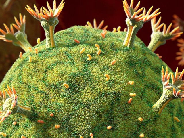 Τώρα πια Ξέρουμε σε ποια Πόλη (και Πότε) Πρωτοεμφανίστηκε ο ιός HIV