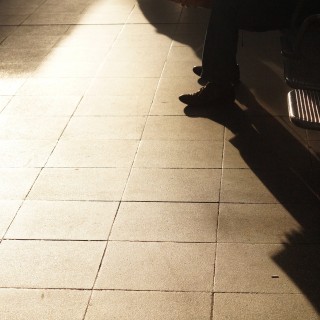 H τελευταία αρκούδα του δάσους- Του Άκη Παπαντώνη