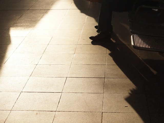 H τελευταία αρκούδα του δάσους- Του Άκη Παπαντώνη