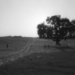 Χάνεται η καλλιεργήσιμη γη του πλανήτη