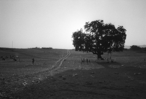 Χάνεται η καλλιεργήσιμη γη του πλανήτη