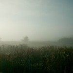 Θεσσαλονίκη: Ταλαιπωρία επιβατών στο αεροδρόμιο «Μακεδονία» λόγω ομίχλης