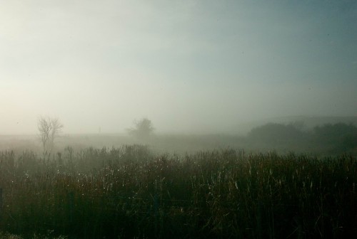 Θεσσαλονίκη: Ταλαιπωρία επιβατών στο αεροδρόμιο «Μακεδονία» λόγω ομίχλης
