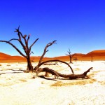 Αυστραλέζα εντοπίστηκε στην έρημο έπειτα από 3 ημέρες χάρη στο “SOS” που είχε γράψει στο χώμα