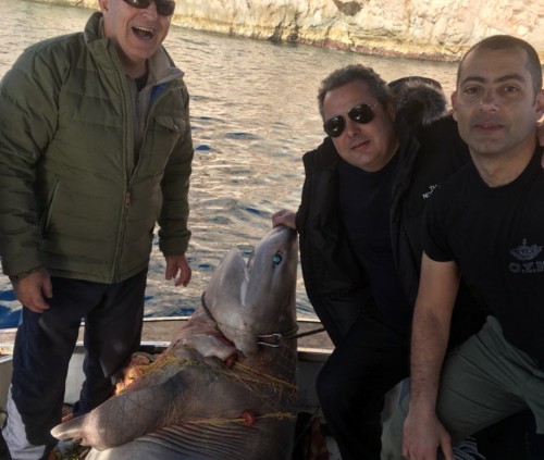 WWF: Ντροπιαστική η εικόνα του υπουργού Καμμένου με τον καρχαρία