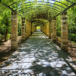 Ο Εθνικός κήπος της Αθήνας