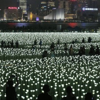 Τα 25.000 «φωτεινά τριαντάφυλλα» που πλημμύρισαν το Χονγκ Κονγκ (ΕΙΚΟΝΕΣ)