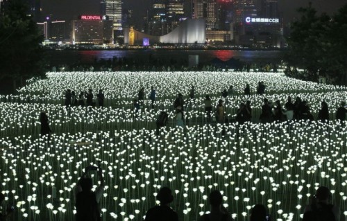 Τα 25.000 «φωτεινά τριαντάφυλλα» που πλημμύρισαν το Χονγκ Κονγκ (ΕΙΚΟΝΕΣ)