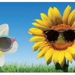 Ο ιταλικός δημιουργός γυαλιών Safilo και η Swatch Ltd υπέγραψαν συμφωνία συνεργασίας