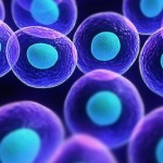 Έλληνες ανακάλυψαν πρωτεΐνη που παίζει ρόλο-κλειδί στον καρκίνο του ήπατος και του εντέρου