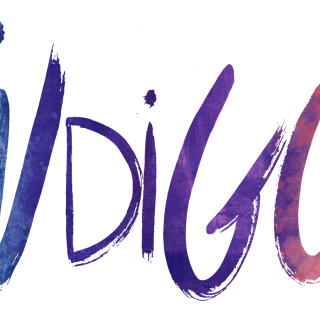 Ποια είναι η Indigo, γιατί αξίζει να τη χρησιμοποιήσετε και πού θα τη γνωρίσετε;