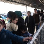 Handelsblatt: Οι Έλληνες είναι φτωχοί αλλά βοηθούν τους πρόσφυγες