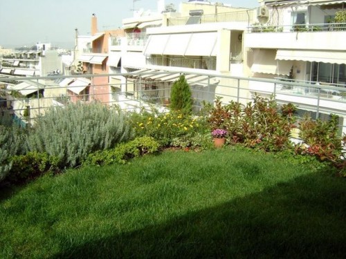 Μπορούν οι ταράτσες των σχολείων να γίνουν πράσινες;