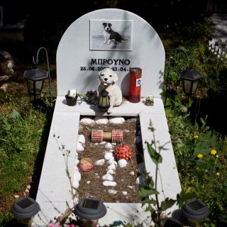 Εκεί που ο άνθρωπος αποχαιρετά τον πιο πιστό του φίλο