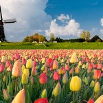 Ολλανδία: Δημοψήφισμα τεστ για τη σχέση της χώρας με την Ε.Ε.