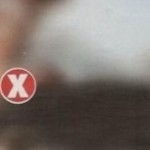 Στοματικό σεξ: Ποιο ζώο επιδίδεται σε αυτό;