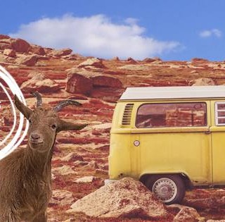 To Up Festival Επιστρέφει. Στην Αμοργό.