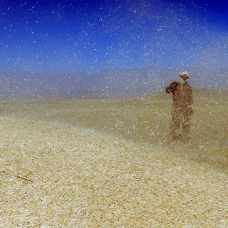 Αφγανιστάν: Αφήστε το Όπιο και πιάστε το σιτάρι