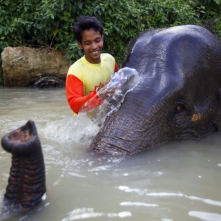Ινδονησία: Παγκόσμια Ημέρα Ελέφαντα, ο οδηγός πλένει το θηλυκό του