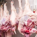 Αυτό το βίντεο για το πως φτιάχνεται η ζελατίνη θα σας κάνει να μην θελήσετε να ξαναφάτε γλυκά