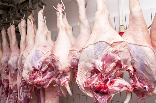 Αυτό το βίντεο για το πως φτιάχνεται η ζελατίνη θα σας κάνει να μην θελήσετε να ξαναφάτε γλυκά