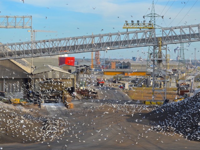 Σε κατάσταση Alongside. Δηλαδή, «κατά μήκος της αποβάθρας».