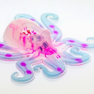 Το Harvard μόλις δημιούργησε το πρώτο εντελώς μαλακό ρομπότ και μοιάζει σαν χταπόδι