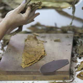 Τα πρώτα χειροποίητα premium πούρα της Ευρώπης παράγονται στην Ελλάδα