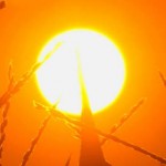 Ο Αύγουστος «ισοφάρισε» τον Ιούλιο ως ο πιο ζεστός μήνας από το 1980, σύμφωνα με τη NASA