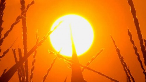 Ο Αύγουστος «ισοφάρισε» τον Ιούλιο ως ο πιο ζεστός μήνας από το 1980, σύμφωνα με τη NASA