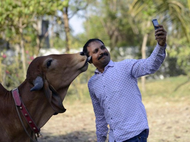Τί κάνει μία σέλφι την ημέρα;