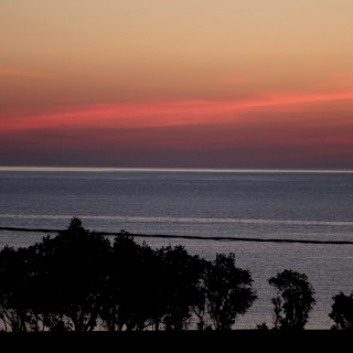 Η αμμουδιά του έρωτα και το αλατόδενδρο, του Θ.Δ. Τυπάλδου