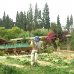 Διεθνής Διάκριση της ελληνικής Οργάνωσης «Γη»