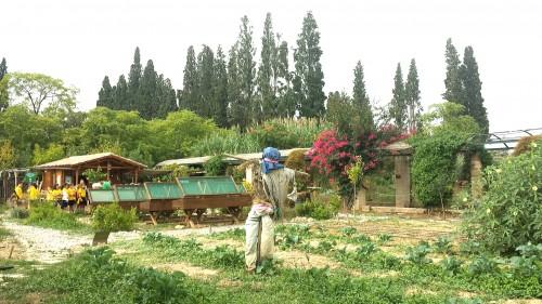 Διεθνής Διάκριση της ελληνικής Οργάνωσης «Γη»
