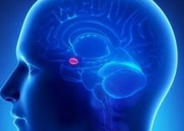 Ανακαλύφθηκε η «έκτη αίσθηση»