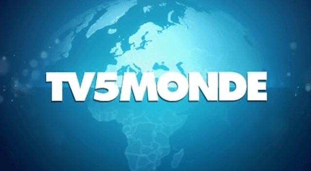 Μια κυβερνο-επίθεση στον γαλλικό τηλεοπτικό σταθμό TV5Monde το 2015 παραλίγο να τον καταστρέψει ολοσχερώς