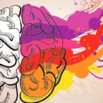 Τι συμβαίνει στον εγκέφαλο μας όταν μαθαίνουμε κάτι;