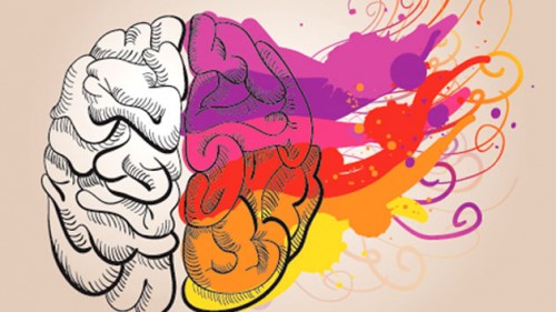 Τι συμβαίνει στον εγκέφαλο μας όταν μαθαίνουμε κάτι;