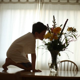 Echolilia: Ένας πατέρας ανακαλύπτει τον αυτιστικό γιο του μέσω της φωτογραφίας