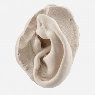 ΤΟ ΣΩΜΑ στη σύγχρονη τέχνη: Ένα εργαστήρι-σεμινάριο σε 12 συναντήσεις