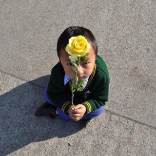 Ένα τριαντάφυλλο για τον Δαλάι Λάμα